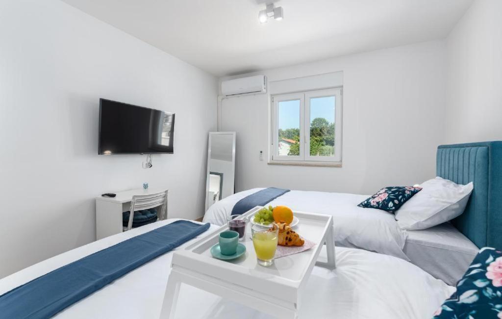 Villa Casa Storija Novigrad Istria エクステリア 写真